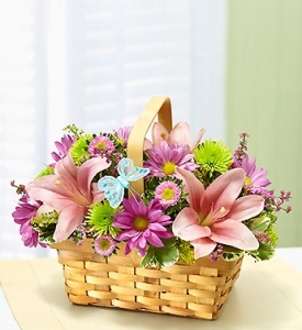 Spring Butterfly Basket | Ocean Breeze Flowers and Gifts