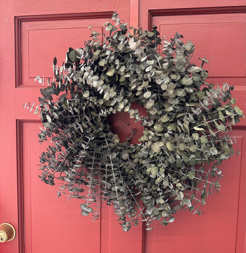 Preserved Baby Eucalyptus Wreath Ocean Breeze Flowers and Gifts