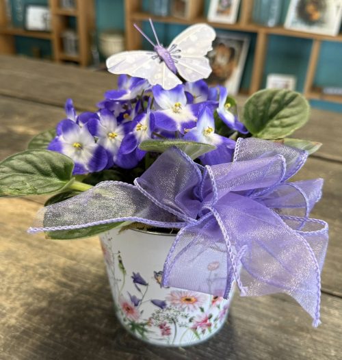 Purple bouquet in a floral ceramic pot tied with a purple ribbon; a lavender butterfly ornament rests among the blooms, with a blurred bookshelf in the background.