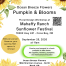 Event poster for Ocean Breeze Flowers Pumpkin & Blooms: Floral design workshop at Mahafy Ranch Sunflower Festival with date, location, price, RSVP and QR code details.